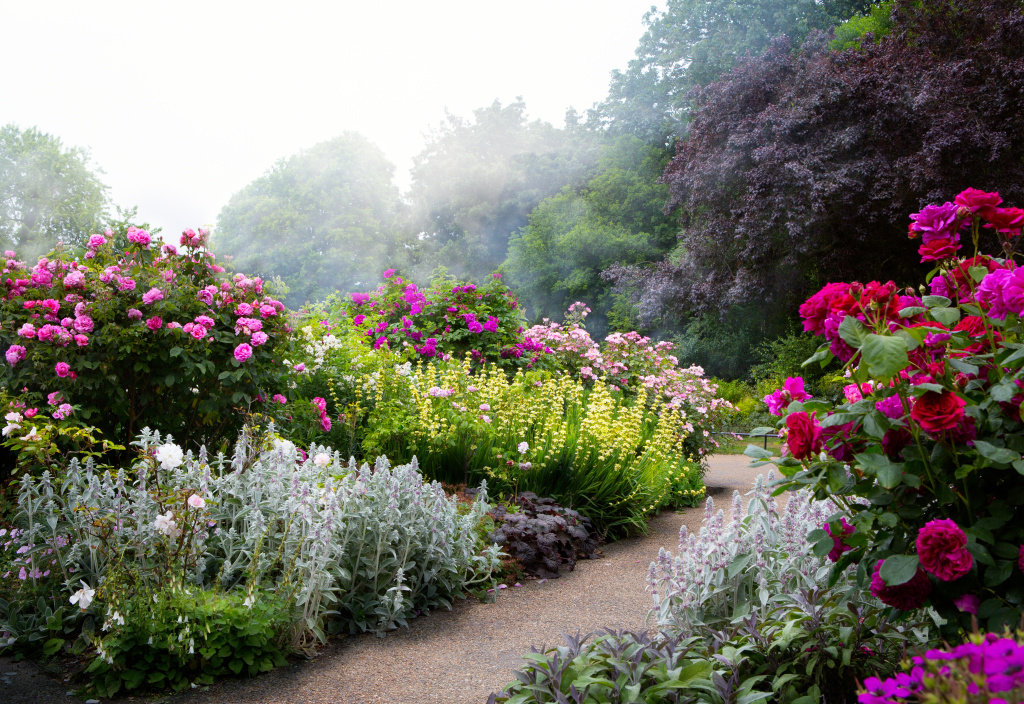 Art flowers in the morning in an English park